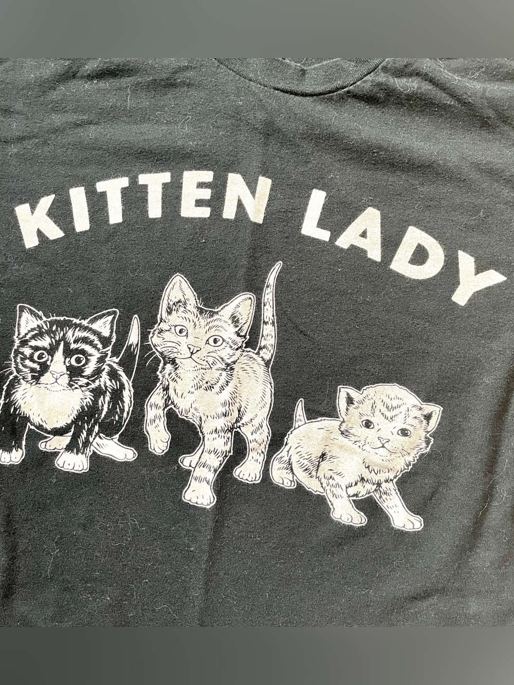 Kitten Lady Graphic Cat T-Shirt in Black, Funny Cat tee shirt cotton size medium - Picture 3 of 14